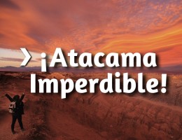 ATACAMA IMPERDIBLE!