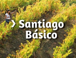 SANTIAGO BASICO